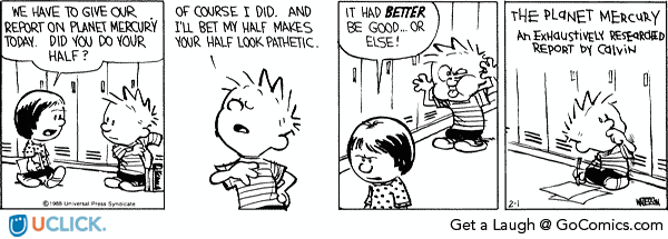 Calvin & Hobbes Cartoon