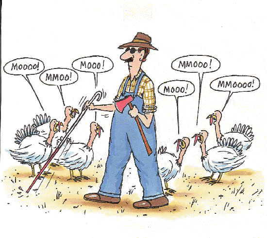 Thanksgiving For All: Funny Thanksgiving Cartoons